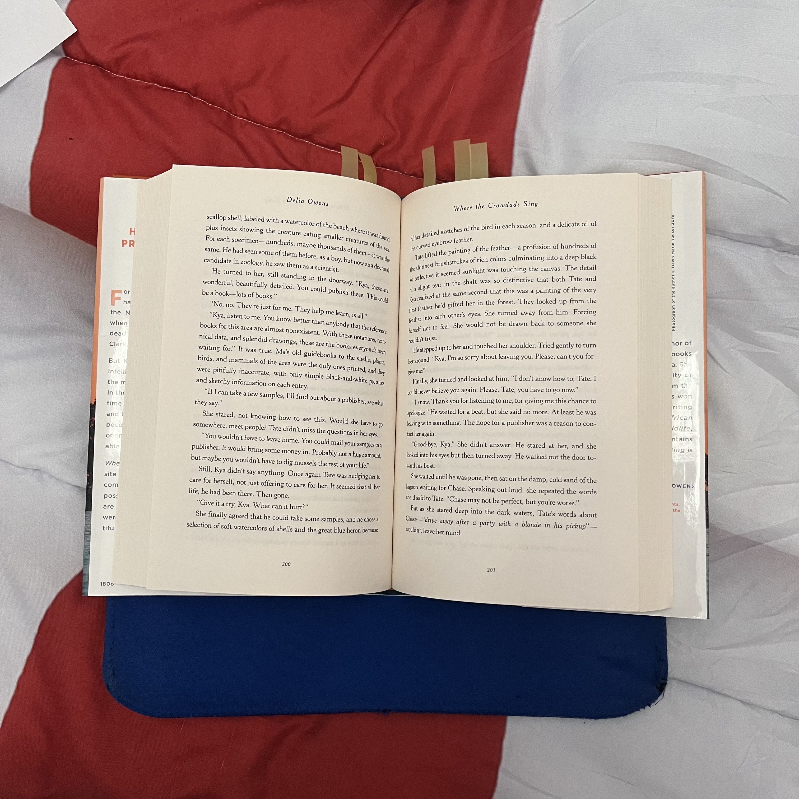 The sound of turning pages in a book