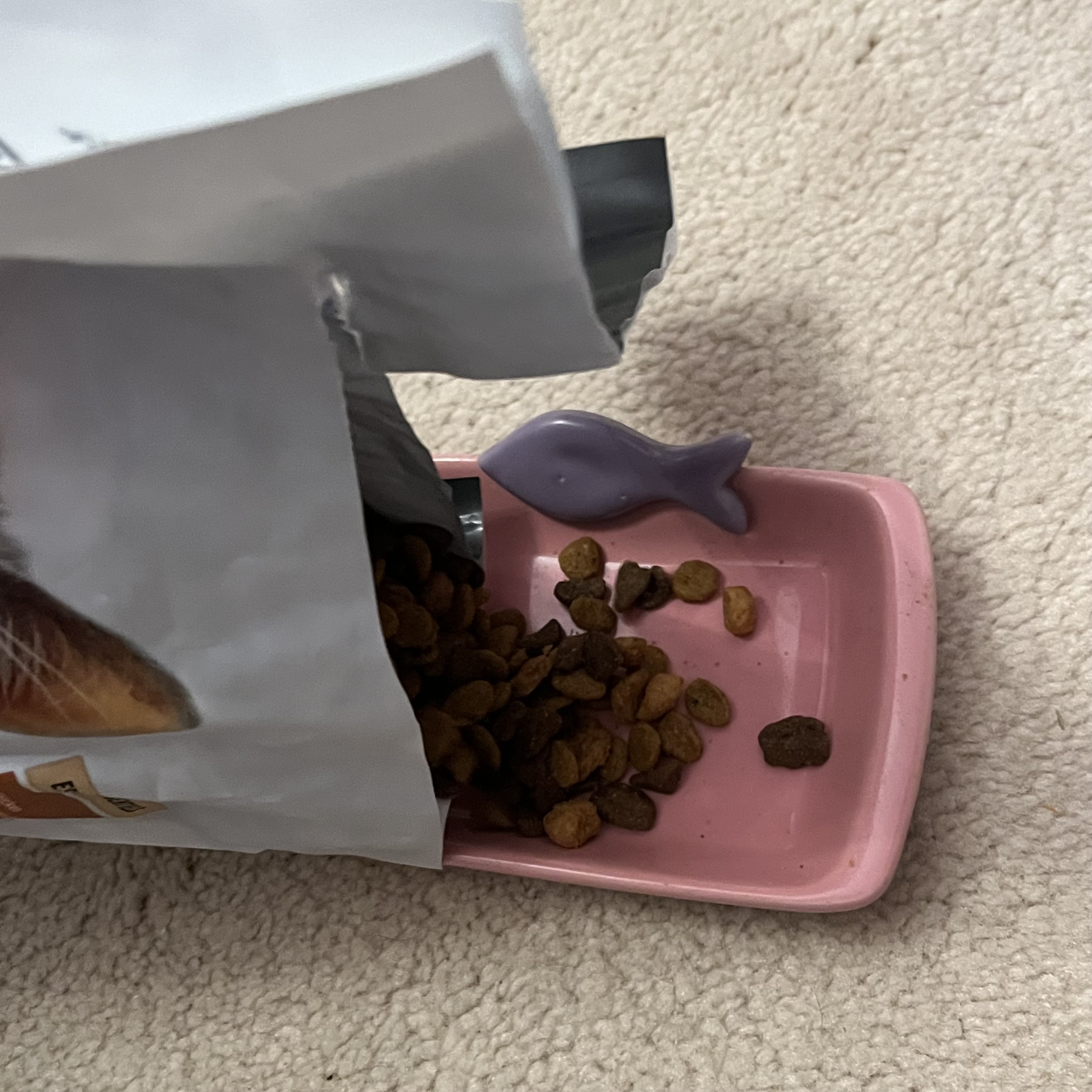 The sound of pouring cat kibble in a bowl